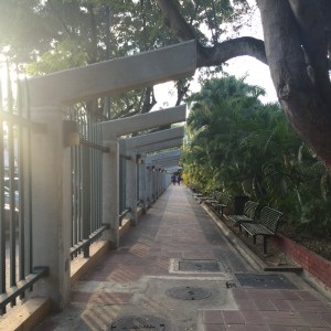 The walkway at Intec