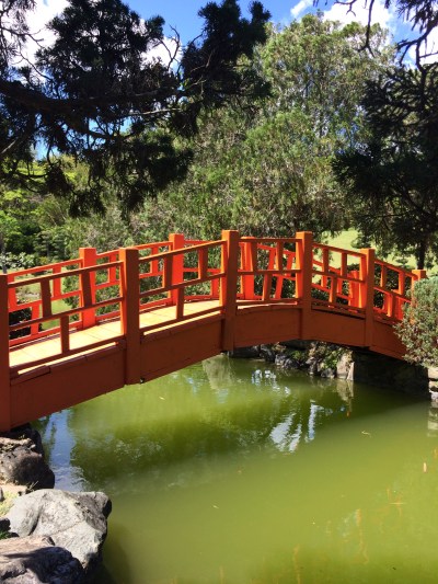 Bridge in the Japanese Gardens - Botanical Gardens