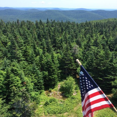 The view from the Fire Tower