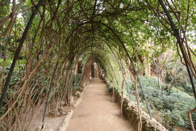 The garden outside Casa Gaudi in Park Guell, Barcelona
