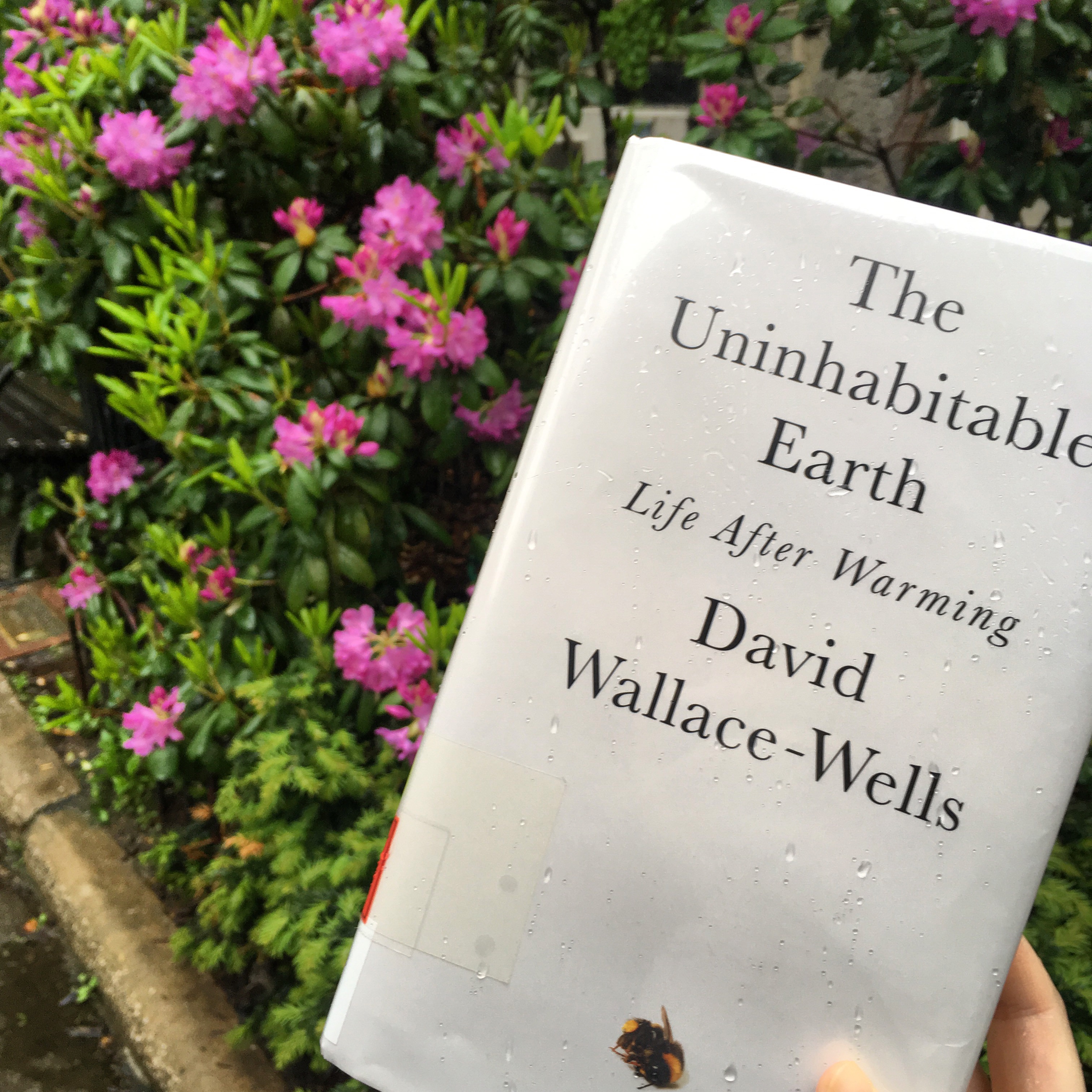 The cover of The Uninhabitable Earth, which is white with black text. At the bottom there is an image of a dead bumblebee. Behind the book you can see pink flowers and green leaves on a bush.