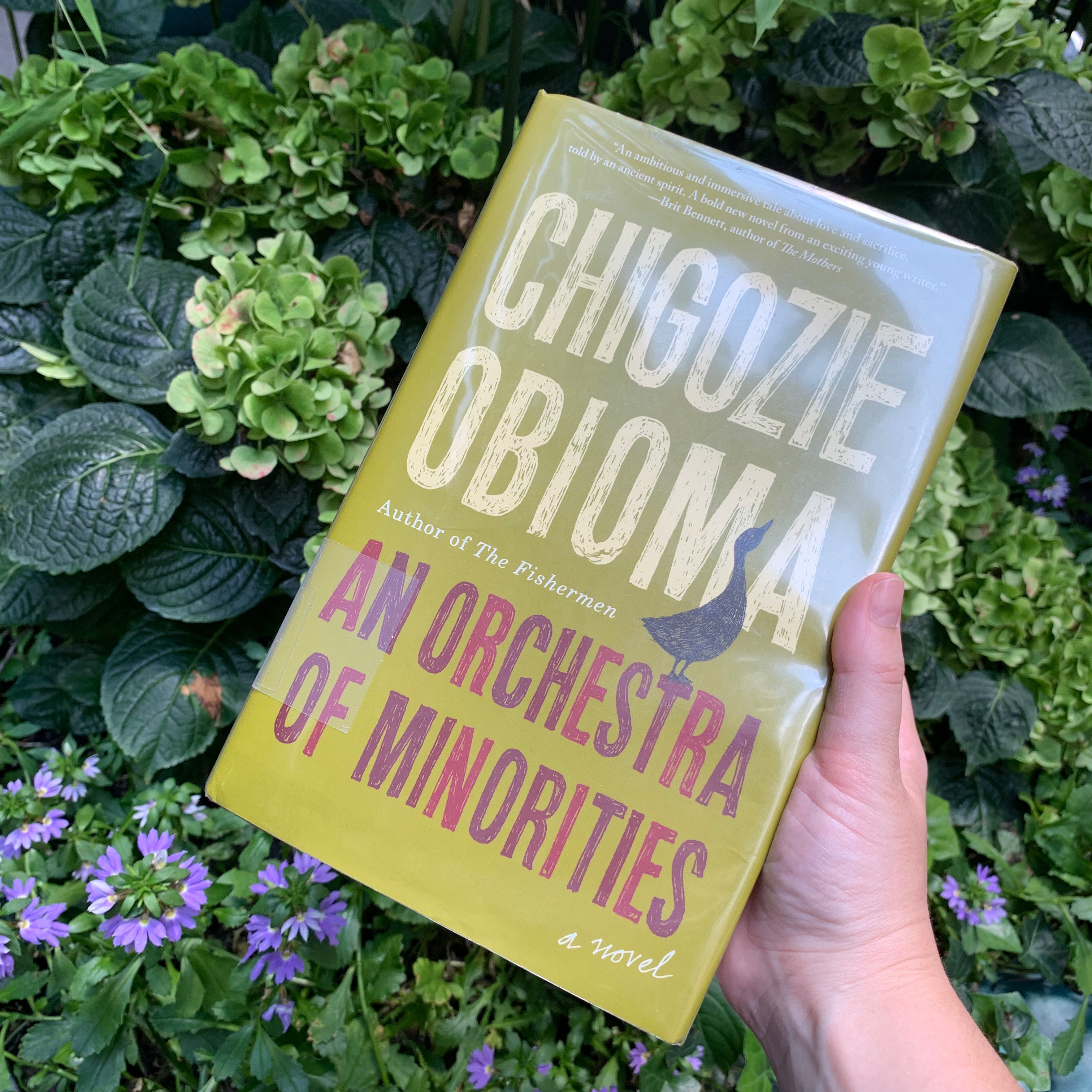 The cover of the book "An Orchestra of Minorities" against a bed of flowers and green leaves.